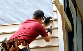 Best Vinyl Siding Installation  in Mckinley, PA